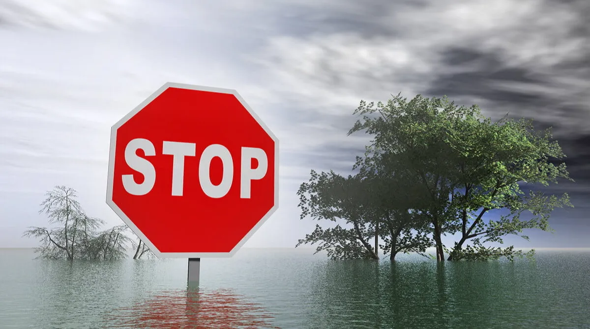 Understanding Medicare Special Enrollment Periods in Delaware